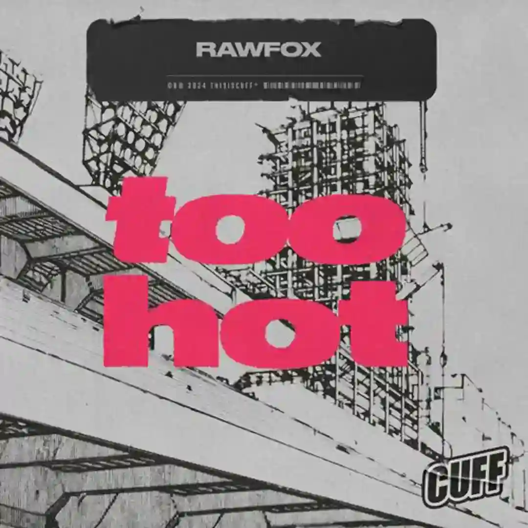 Too Hot cover