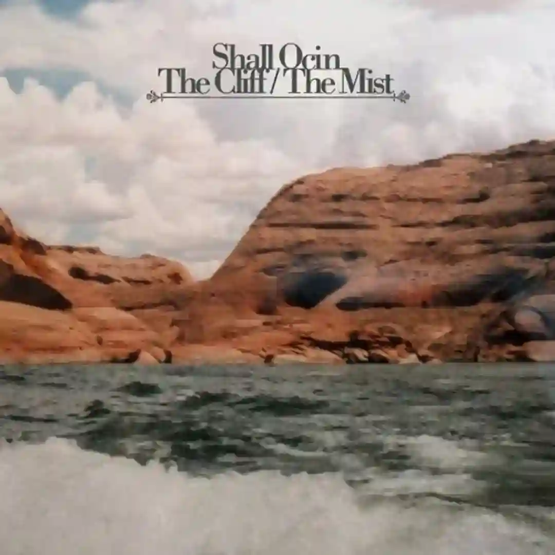 The Mist (Original Mix) cover