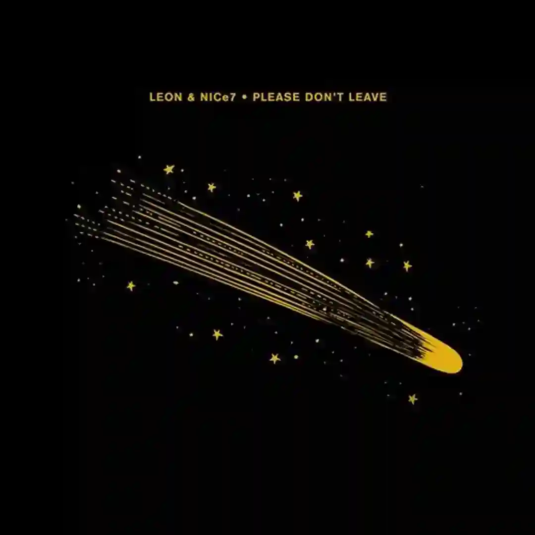 Please Don't Leave cover