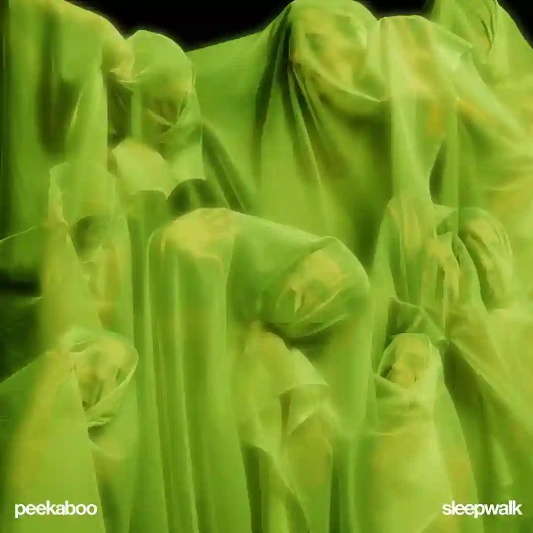Sleepwalk cover