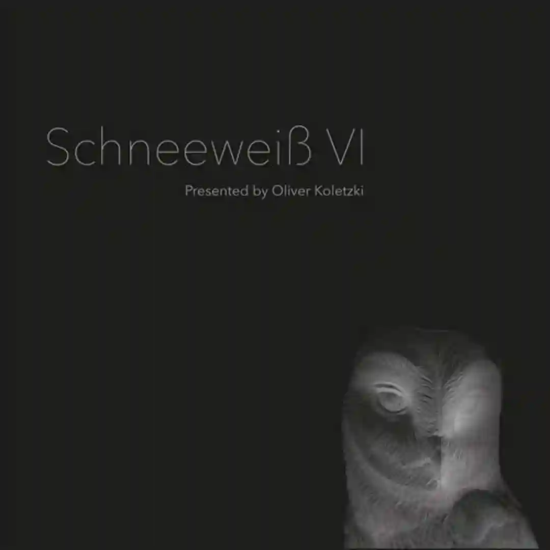 Envy cover