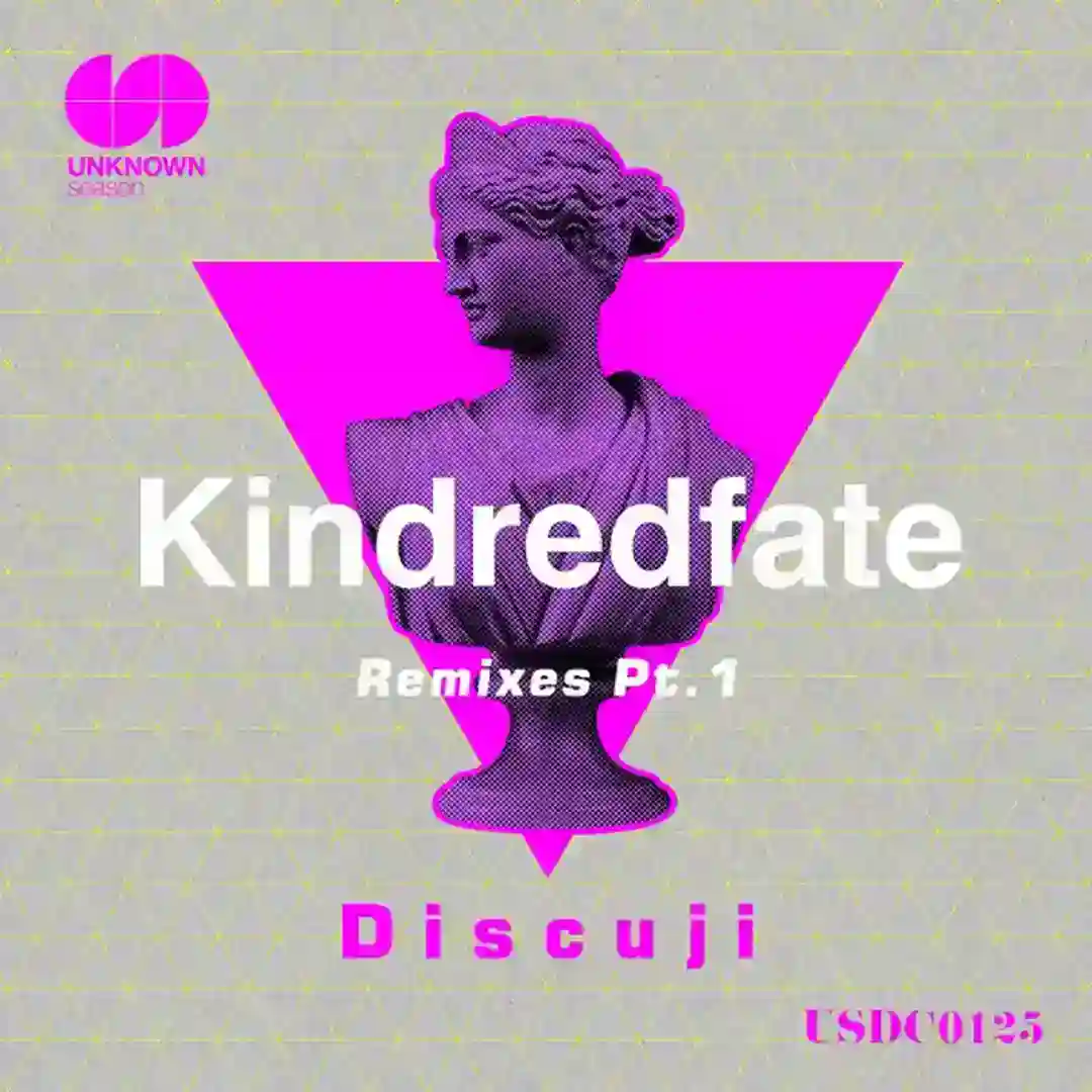 Kindredfate (Satoshi Fumi Remix) cover
