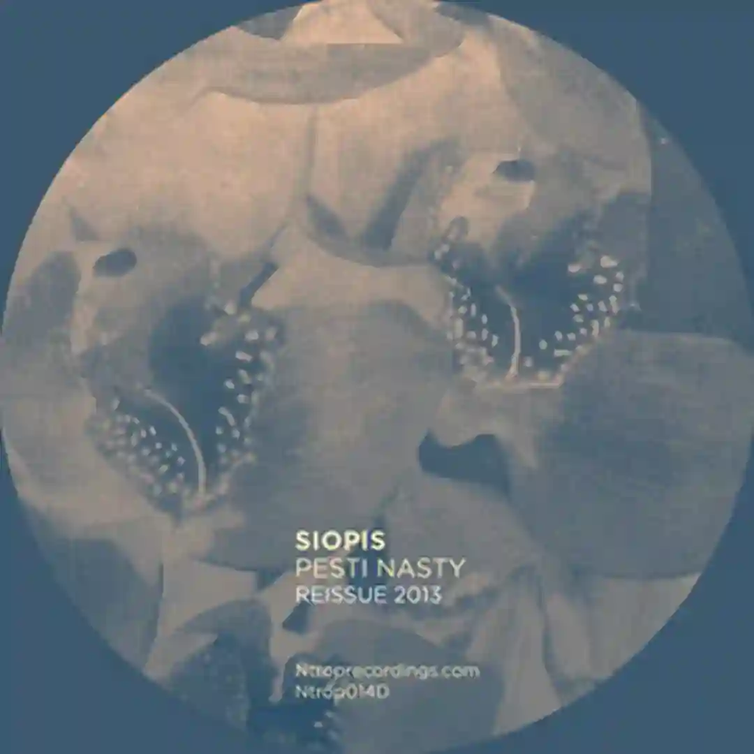 Pesti Nasty cover