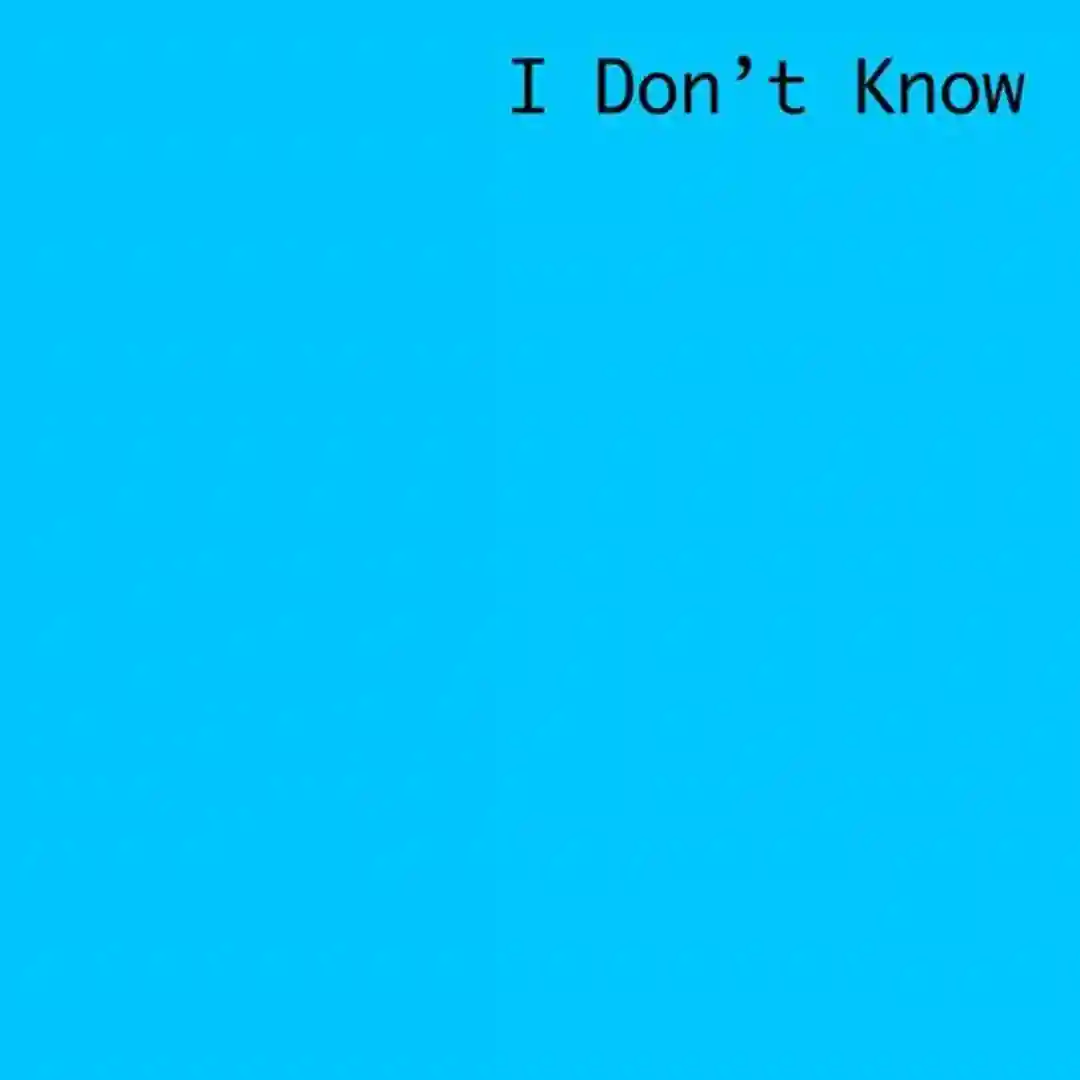 I Don't Know cover