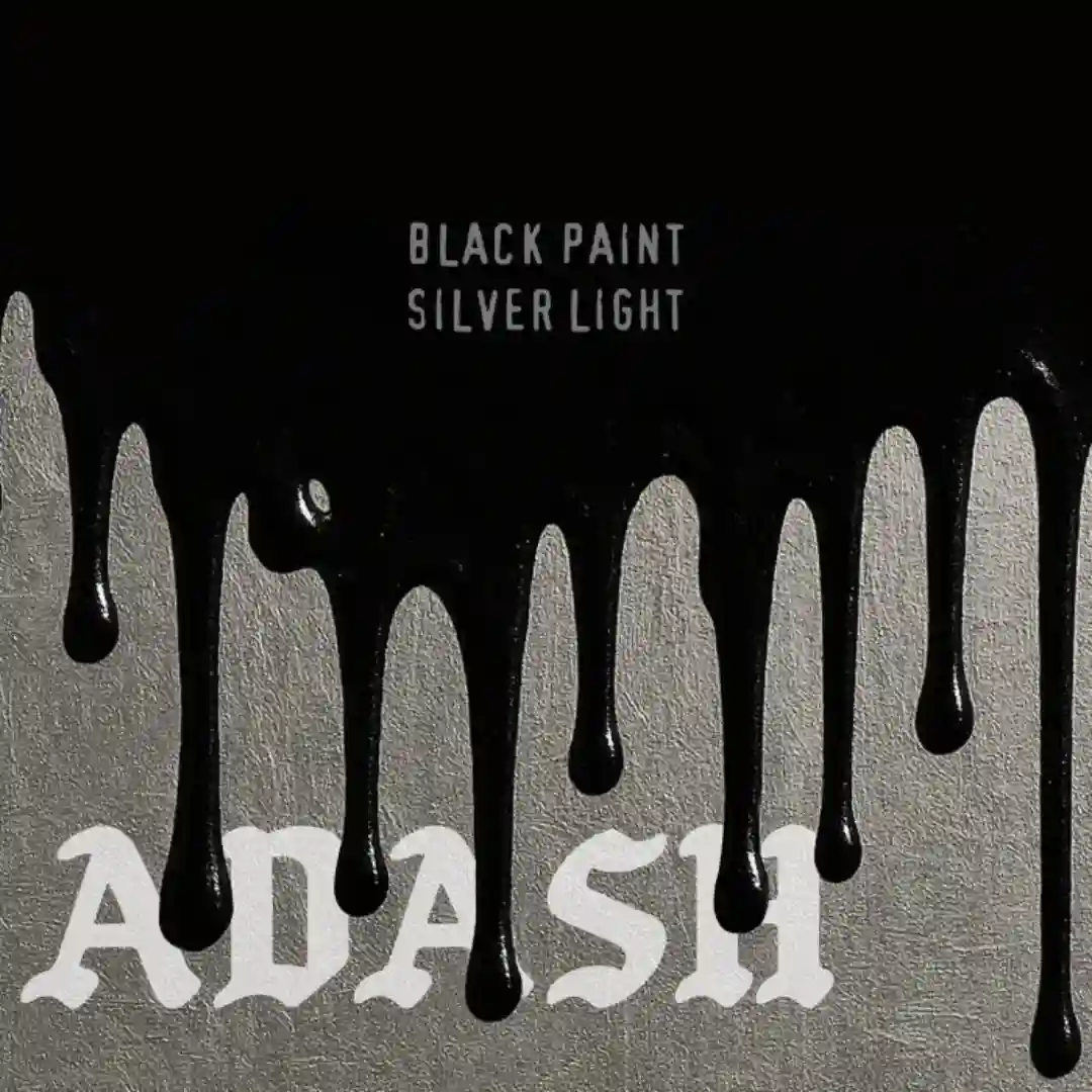 Black Paint, Silver Light cover