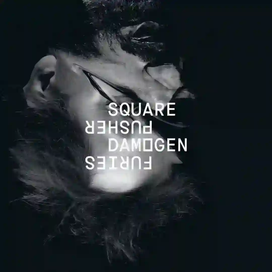 Kontenjaz cover