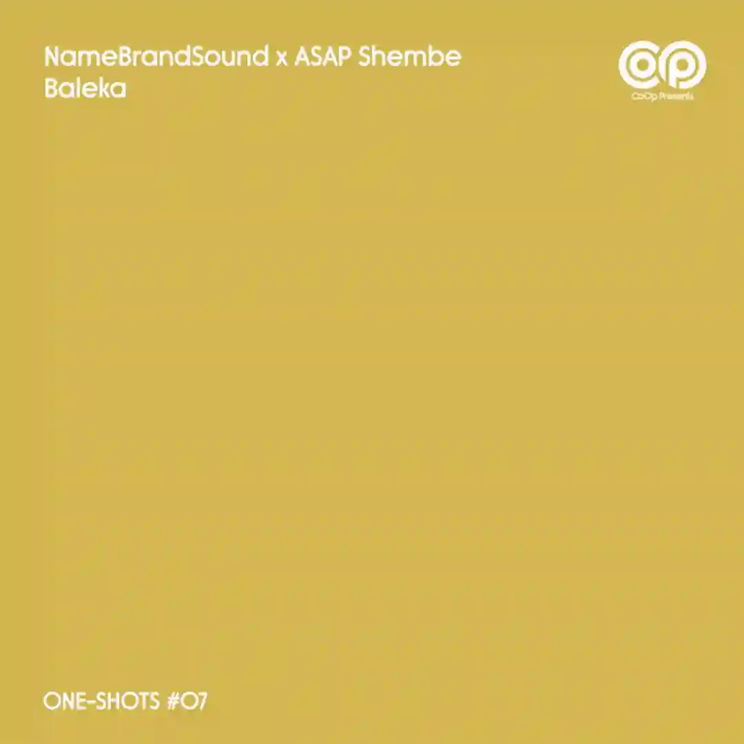 Baleka (feat. ASAP Shembe) (feat. ASAP Shembe) cover