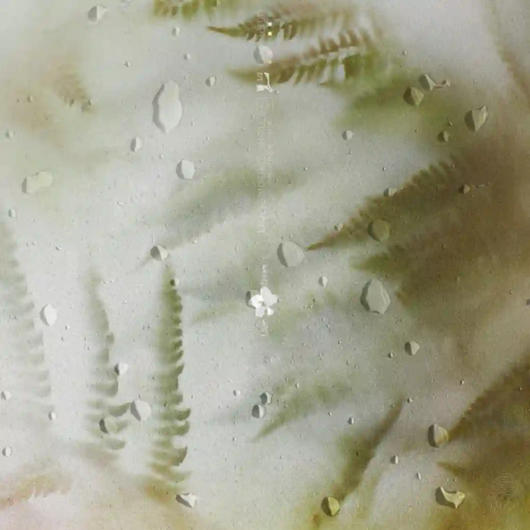 Myrtus cover