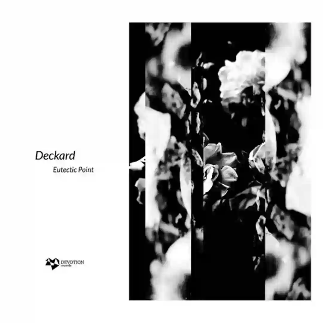 Eutectic Point (Original Mix) cover