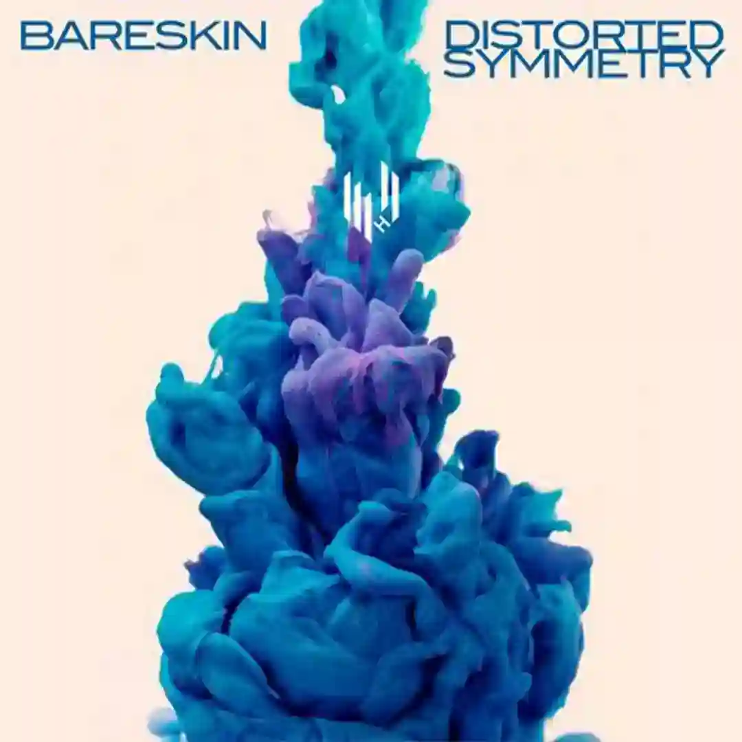 Distorted Symmetry (Original Mix) cover