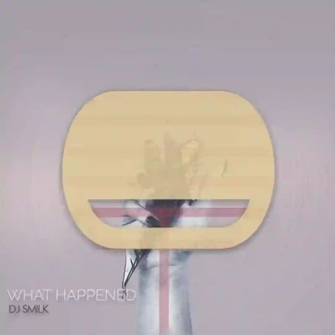 WHAT HAPPENED cover