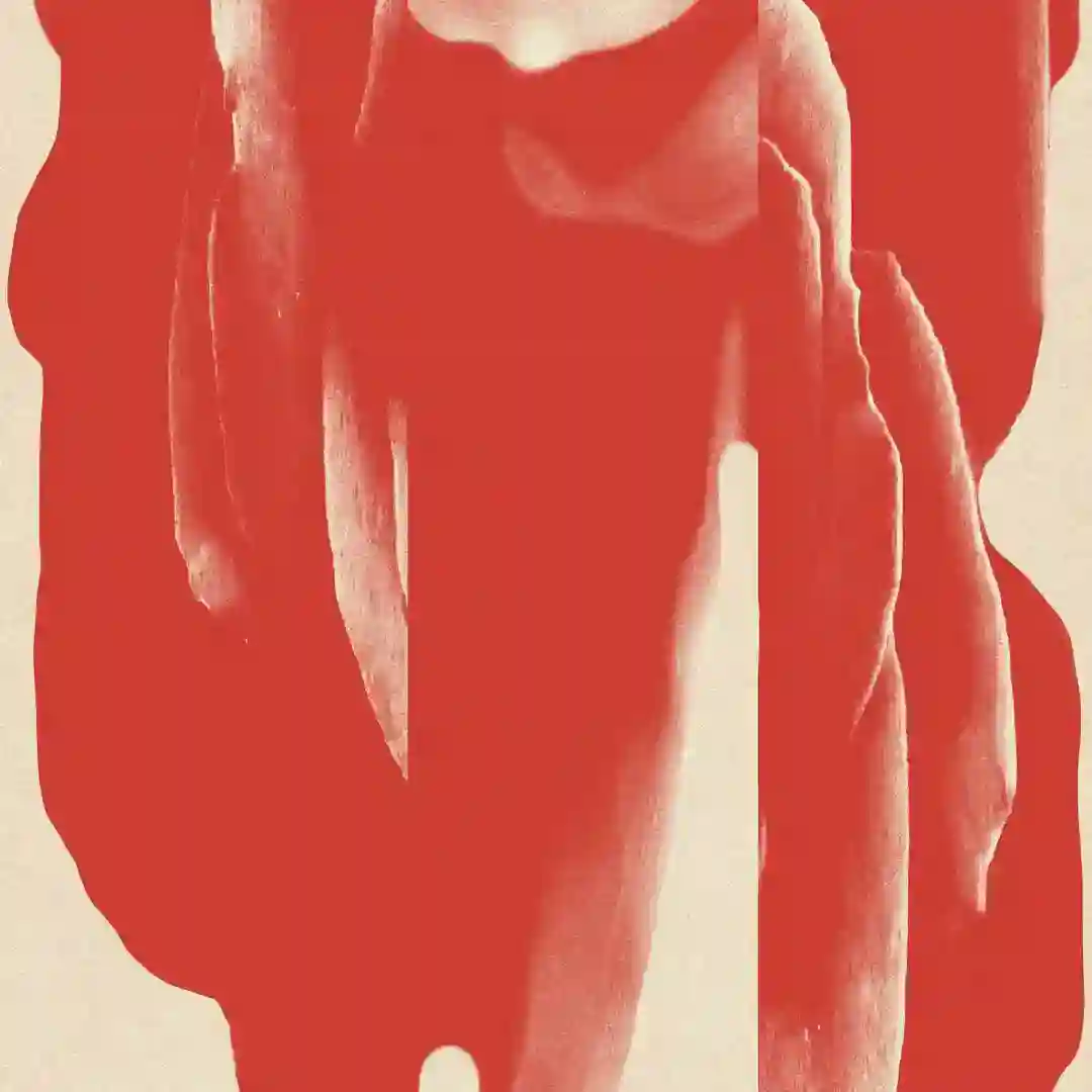In Bloom cover