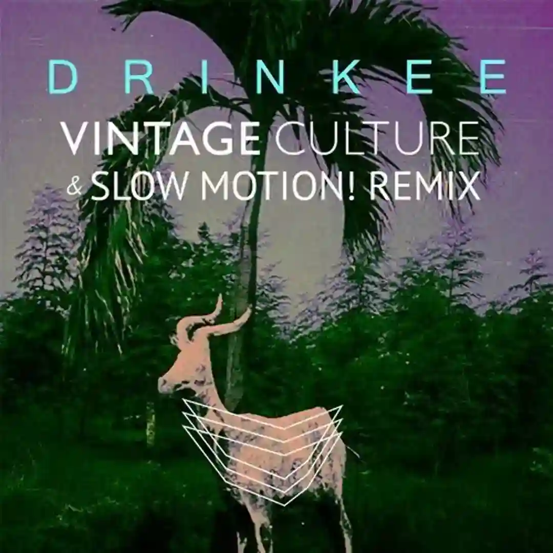 Drinkee - Vintage Culture & Slow Motion! Remix cover
