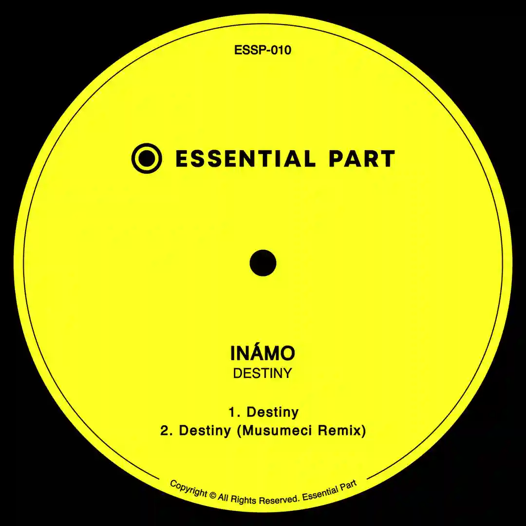 Destiny (Musumeci Remix) cover