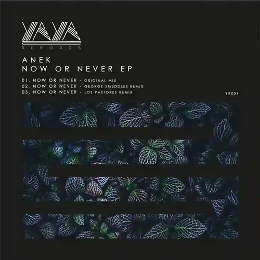 Now Or Never (Original Mix) cover