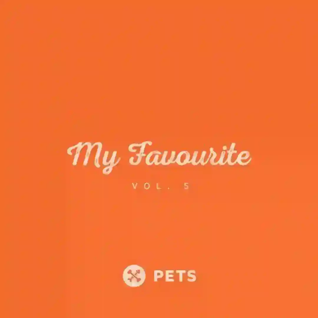 Voice 64 (Original Mix) cover