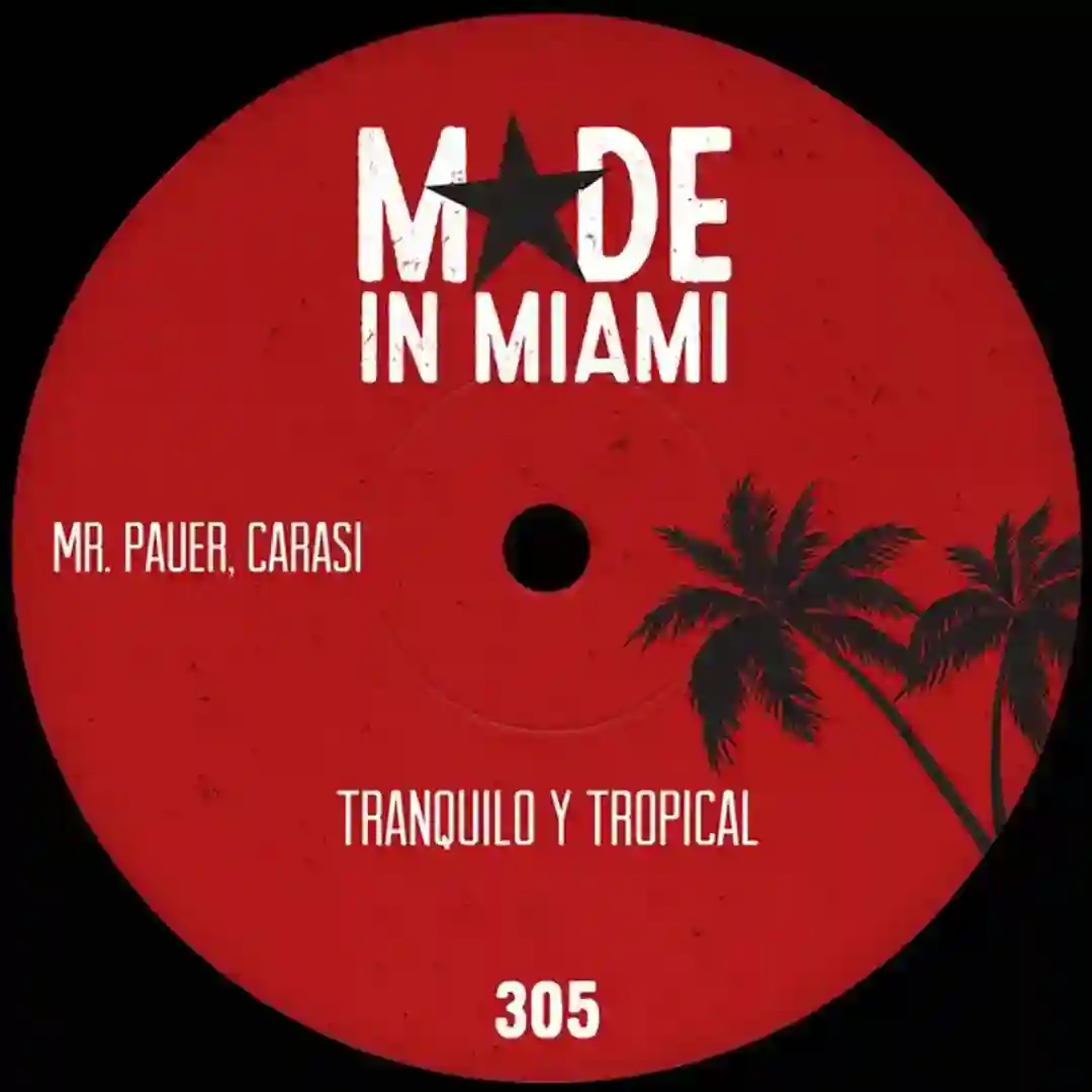 Tranquilo y Tropical (Original Mix) cover