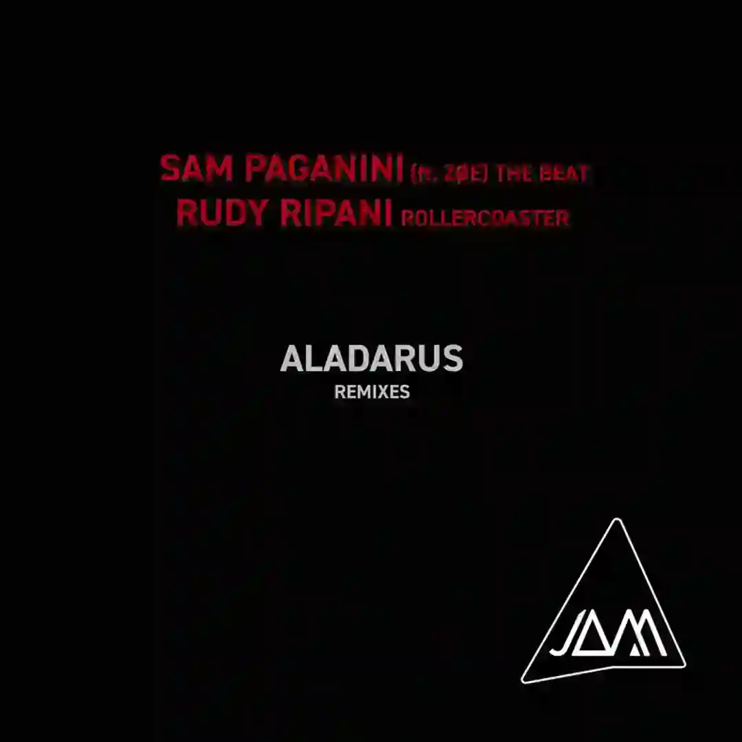 The Beat / Rollercoaster (Remixes) cover