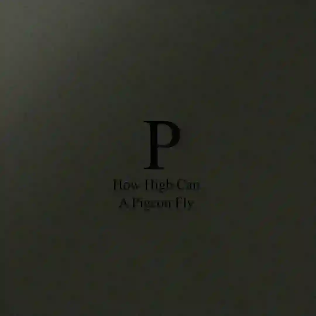 Beetham Tower cover