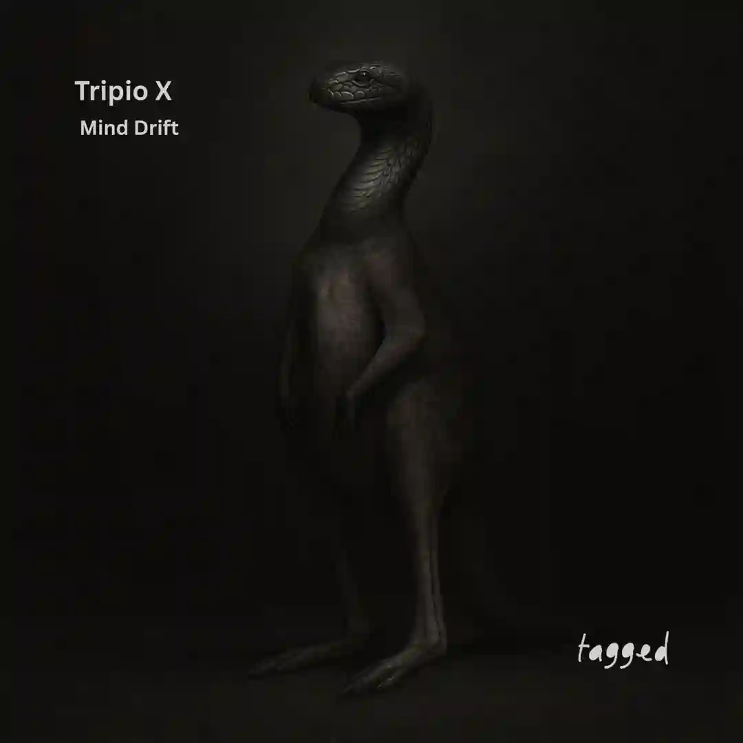 Mind Drift (Original Mix) cover