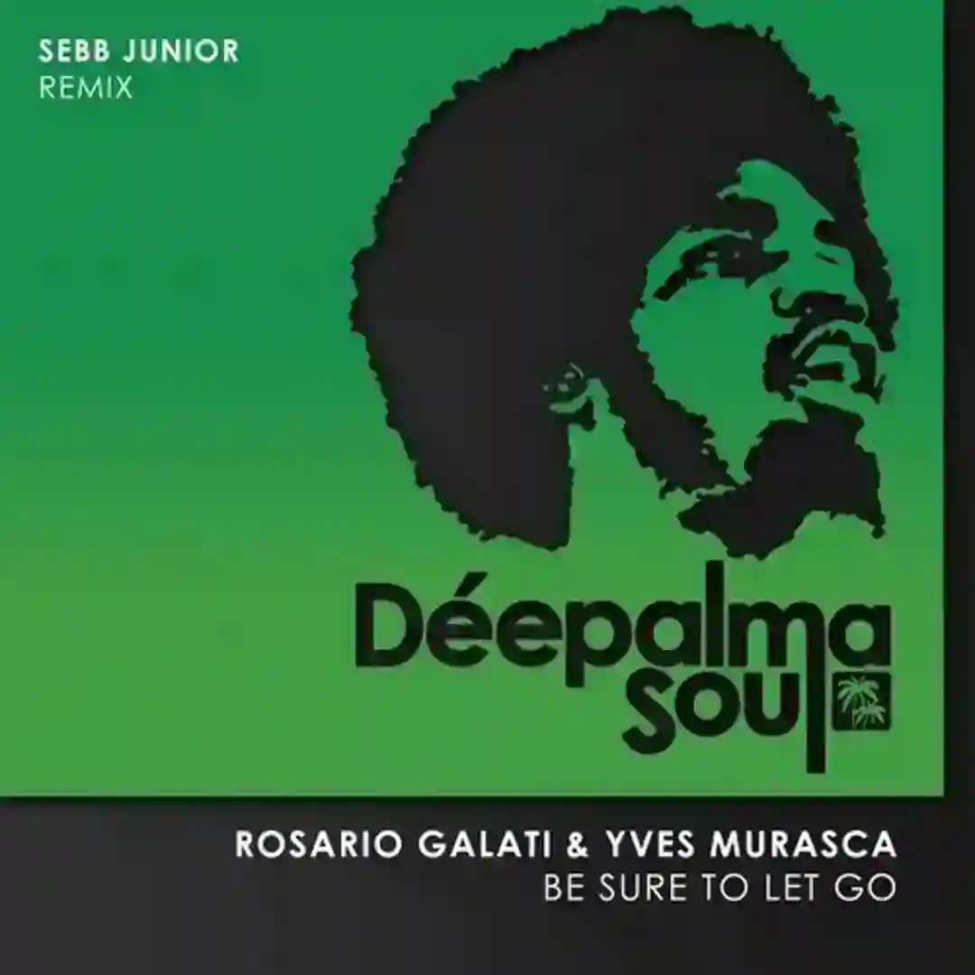Be Sure to Let Go (Sebb Junior Remix) cover