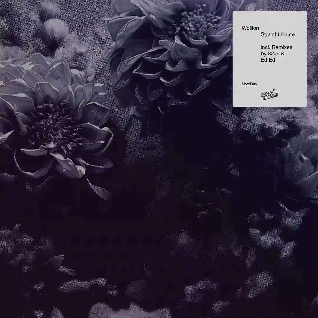 Home (82J6 Remix) cover