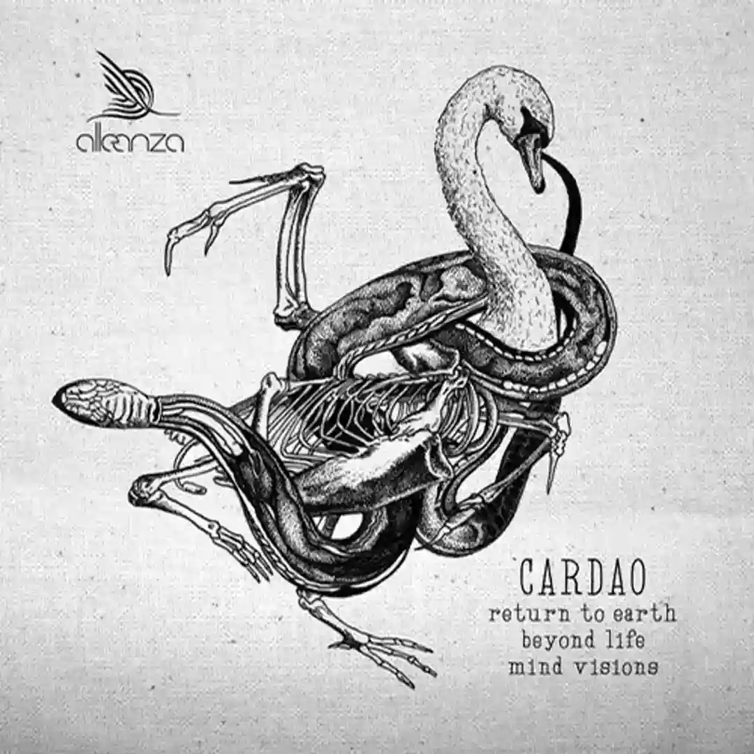 Mind Visions (Original Mix) cover