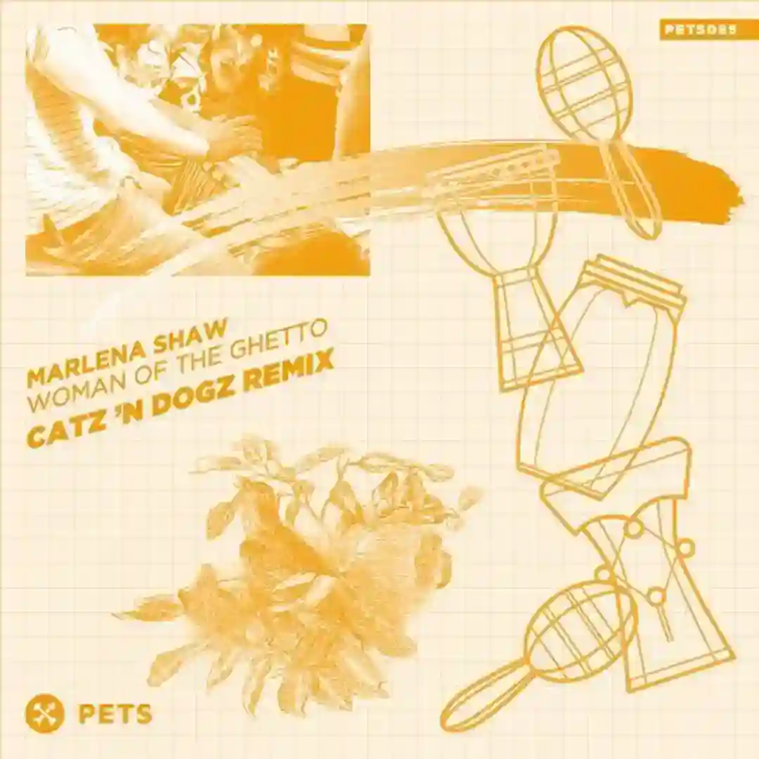 Woman Of The Ghetto (Catz 'n Dogz Remix) cover