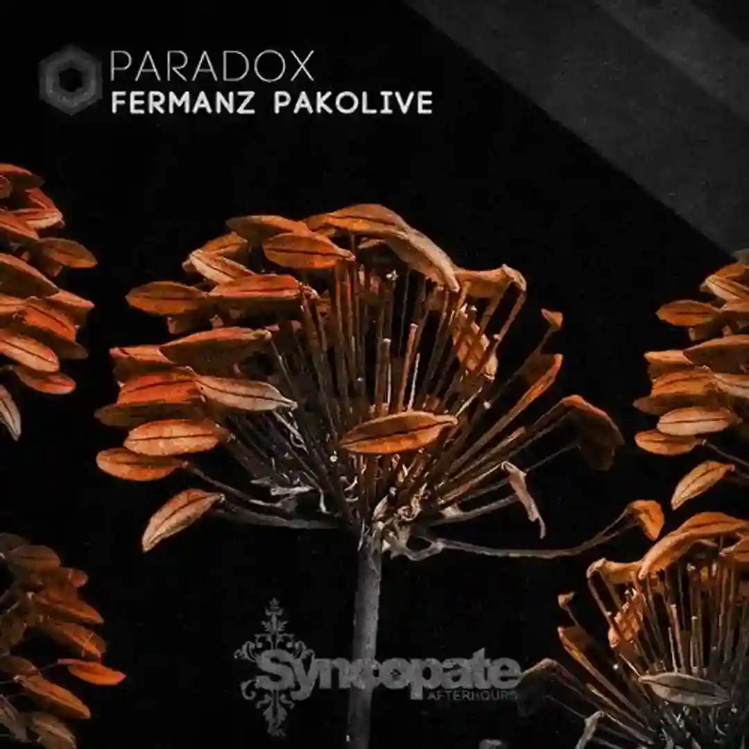 Paradox cover