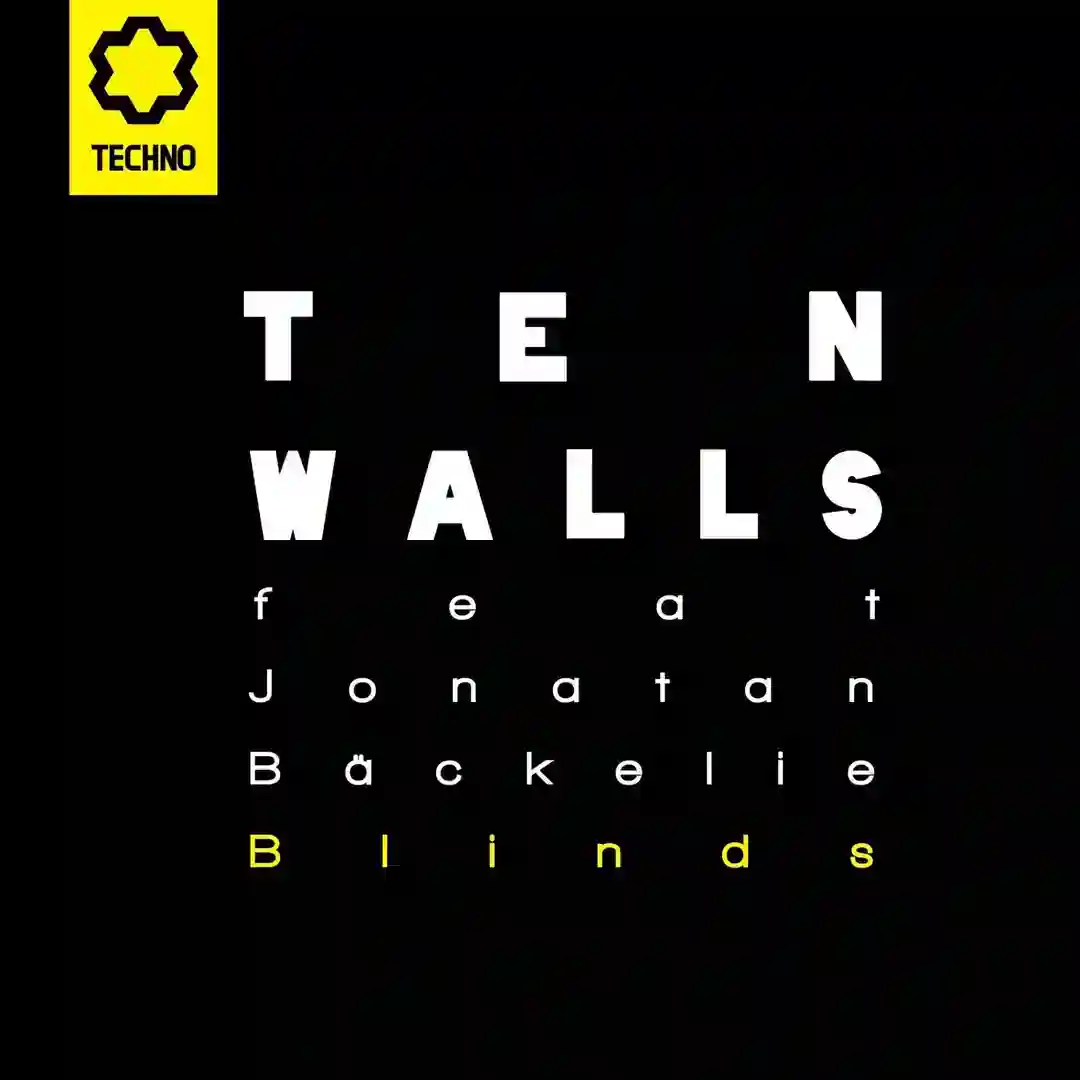 Blinds cover