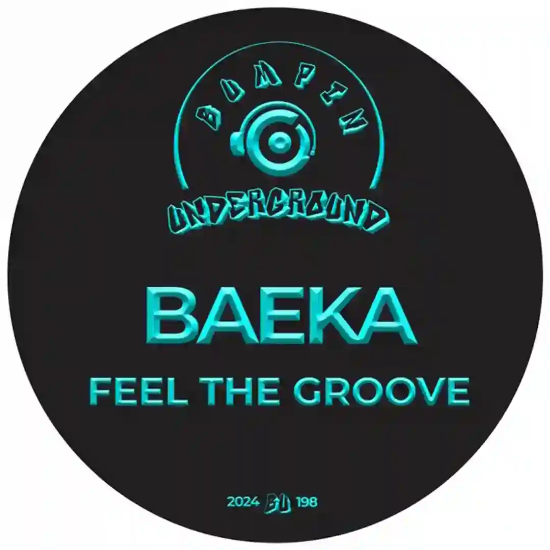 Feel The Groove (Original Mix) cover
