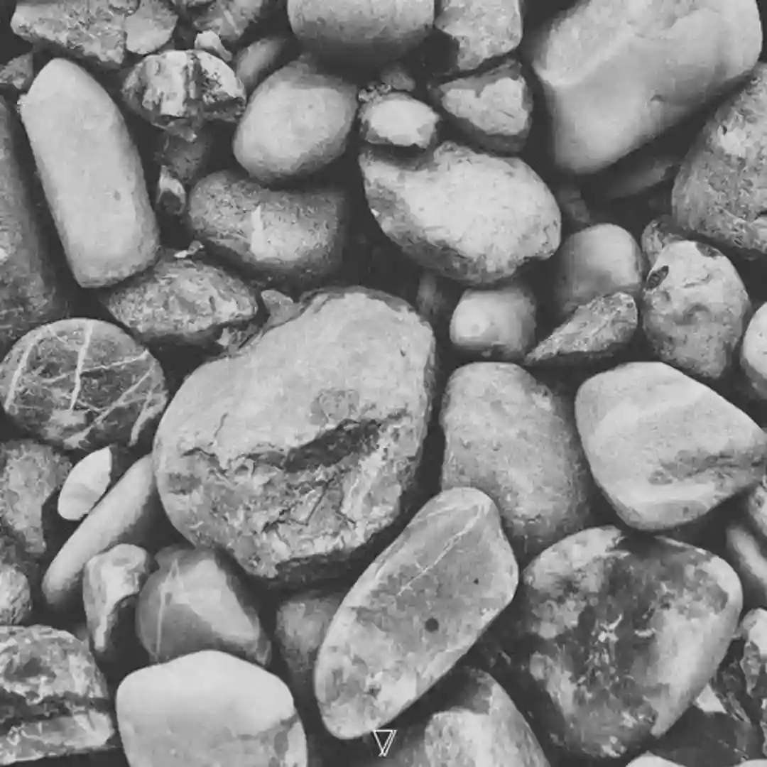 The Reef (Original Mix) cover