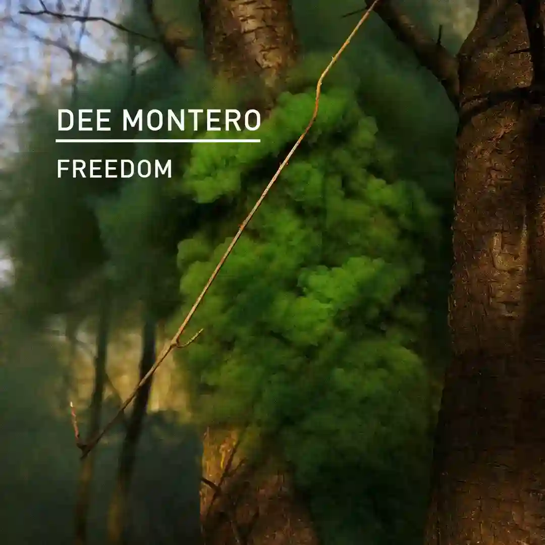 Freedom cover