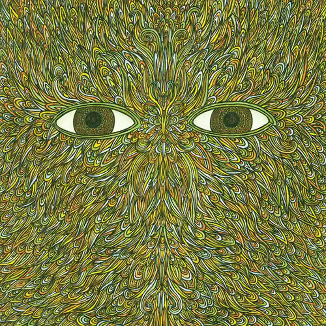 PieFace cover