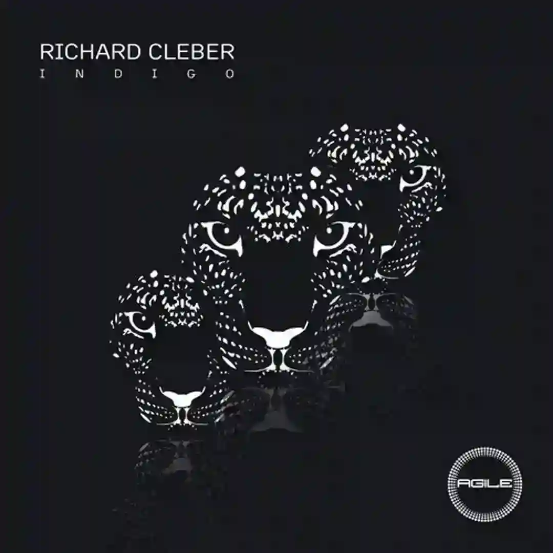 Dreams And Doubs (Original Mix) cover