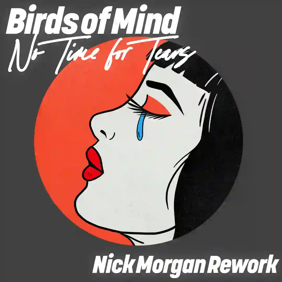 No Time for Tears (Original Mix) cover