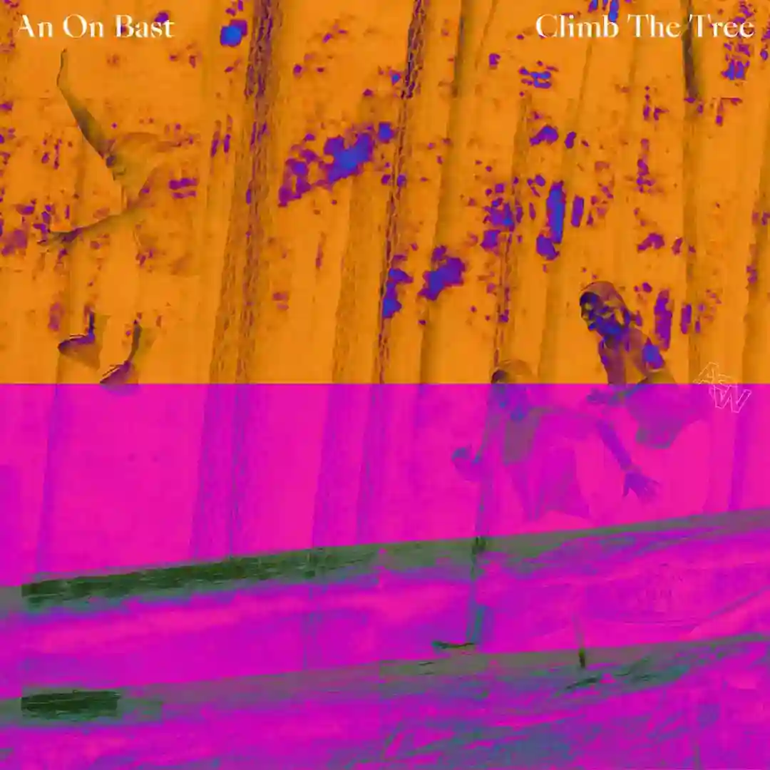 Climb the Tree cover