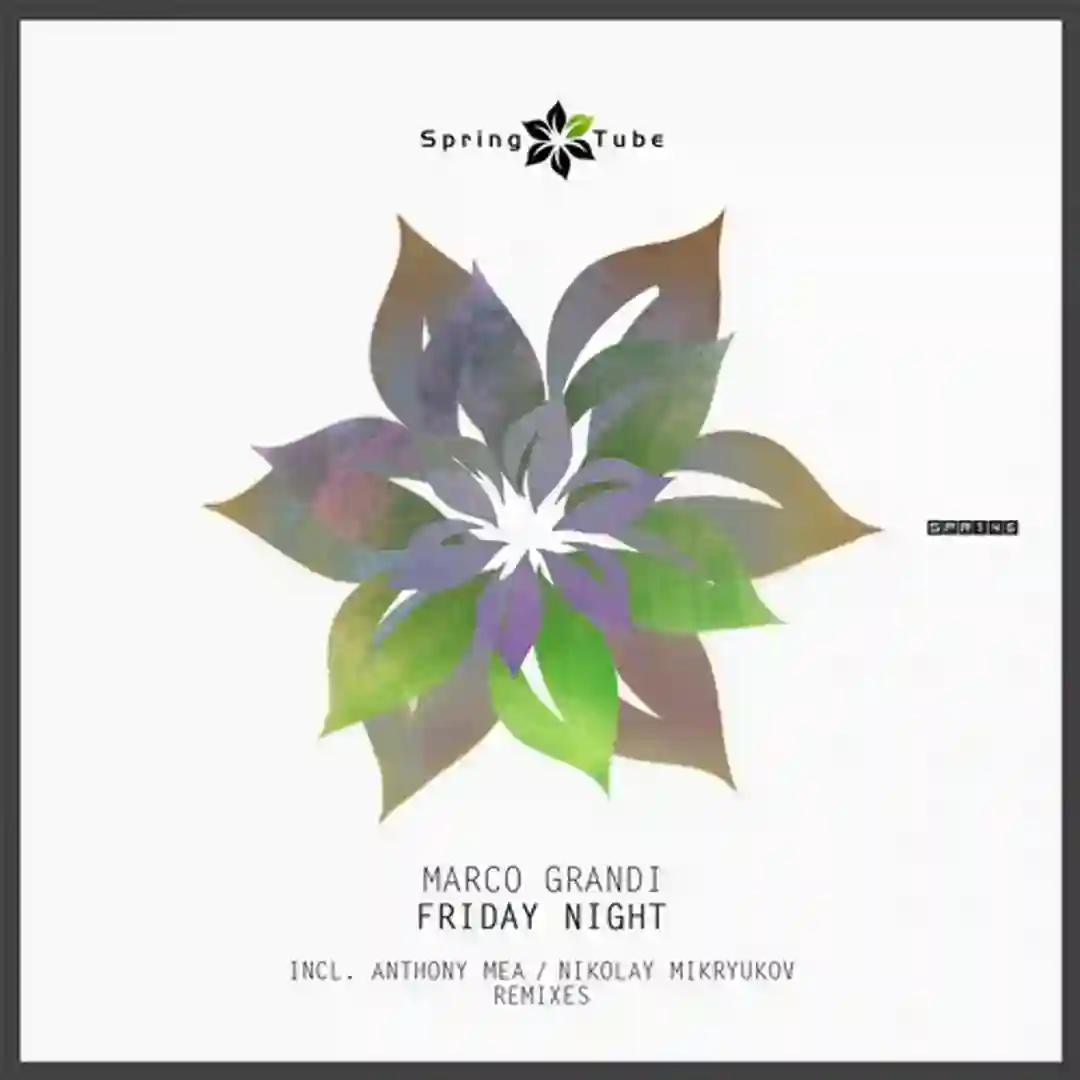 Friday Night (Nikolay Mikryukov 'far Away' Remix) cover