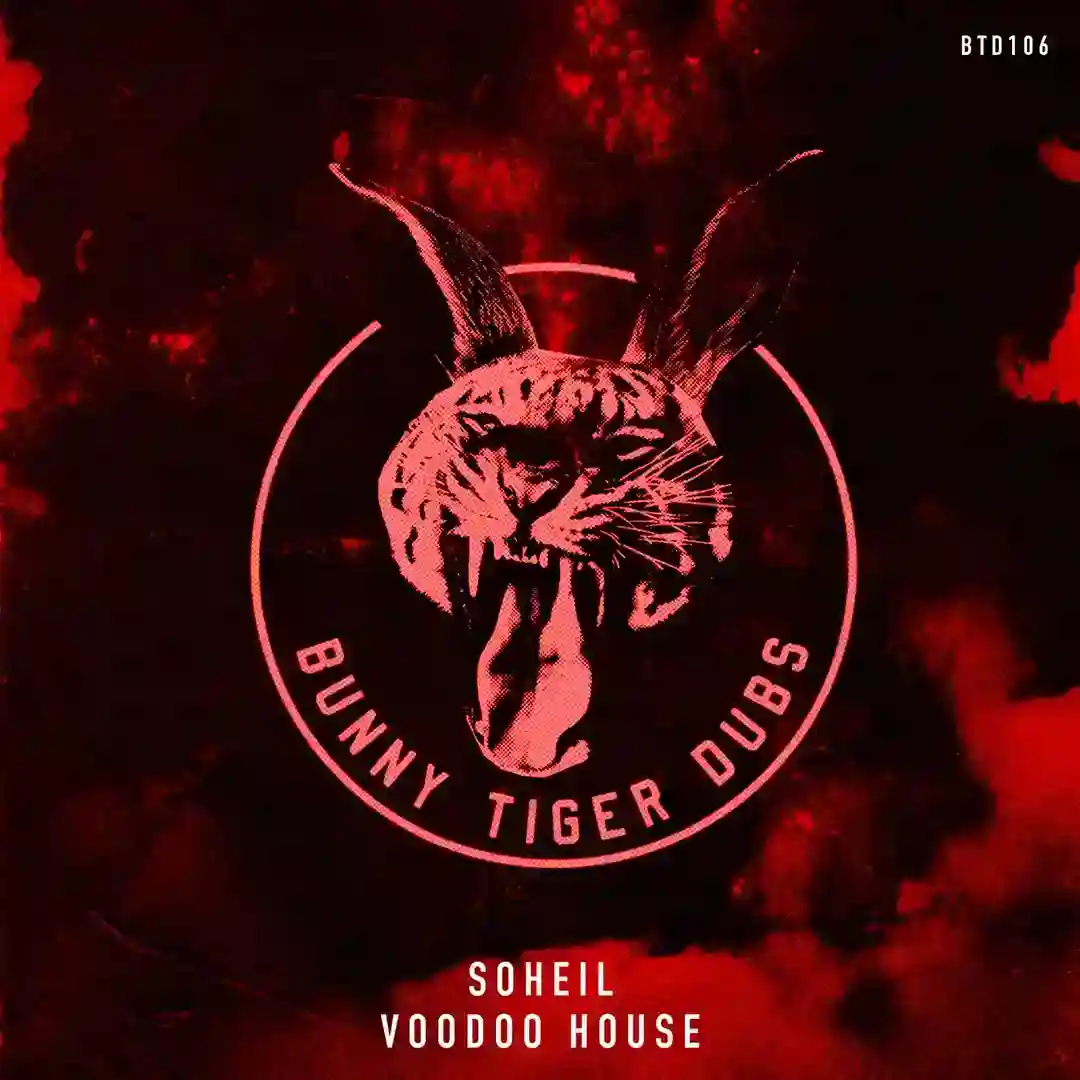 Voodoo House (Original Mix) cover
