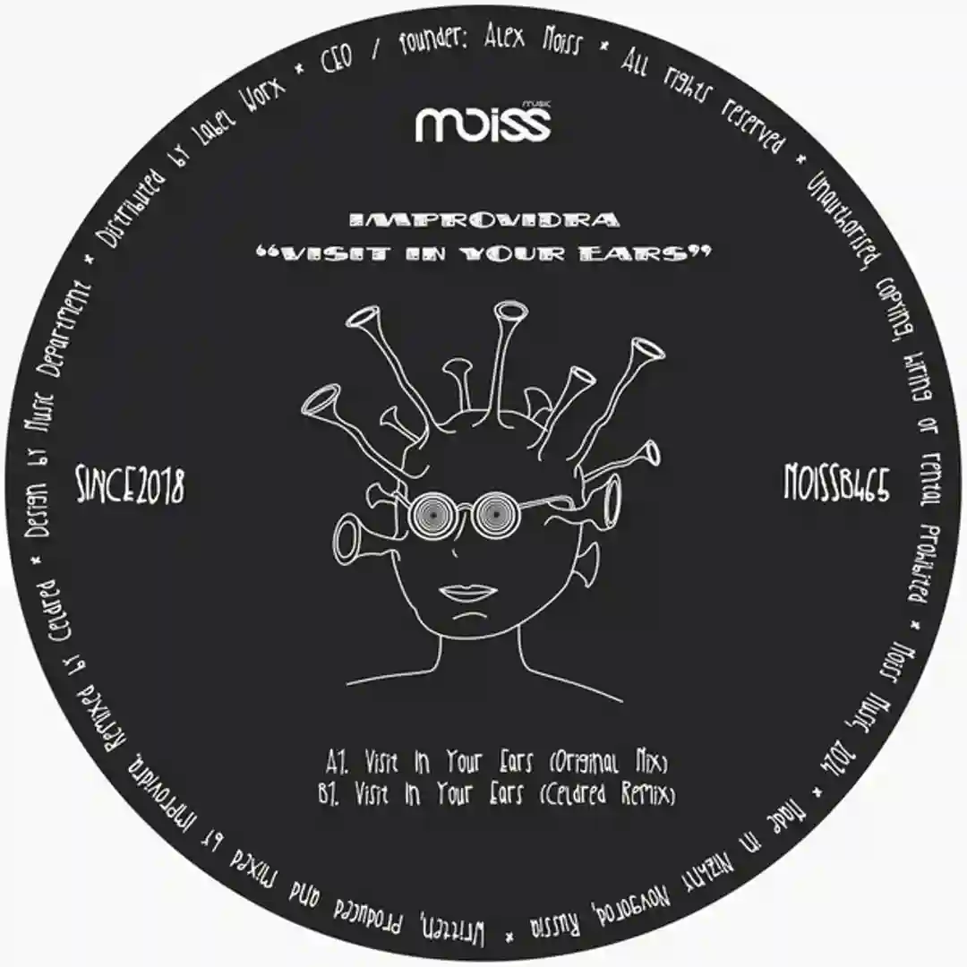 Visit In Your Ears (Original Mix) cover