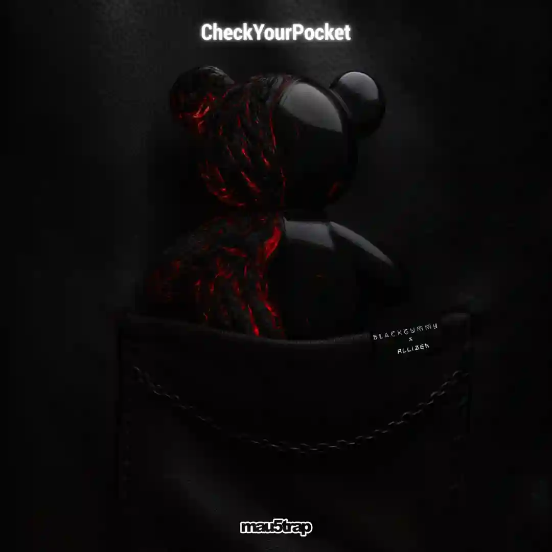 CheckYourPocket cover