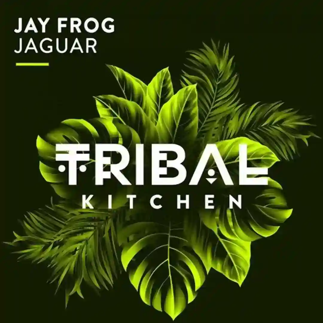 Jaguar (Original Mix) cover