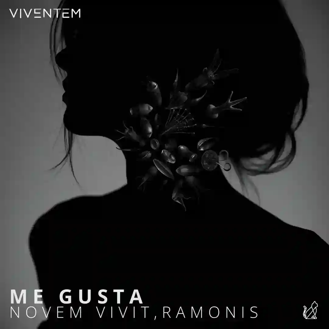 Me Gusta (Original Mix) cover