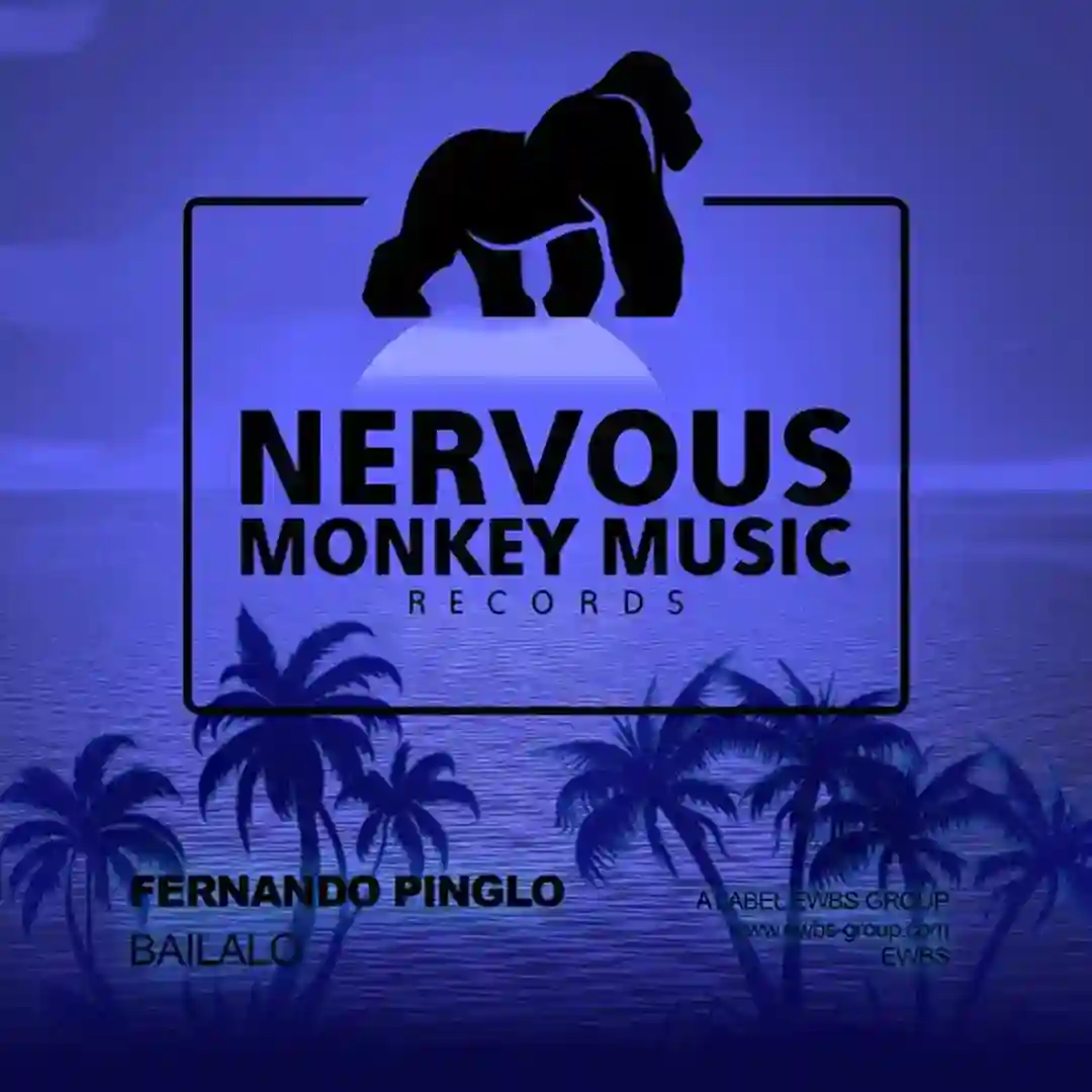 Bailalo (Original mix) cover
