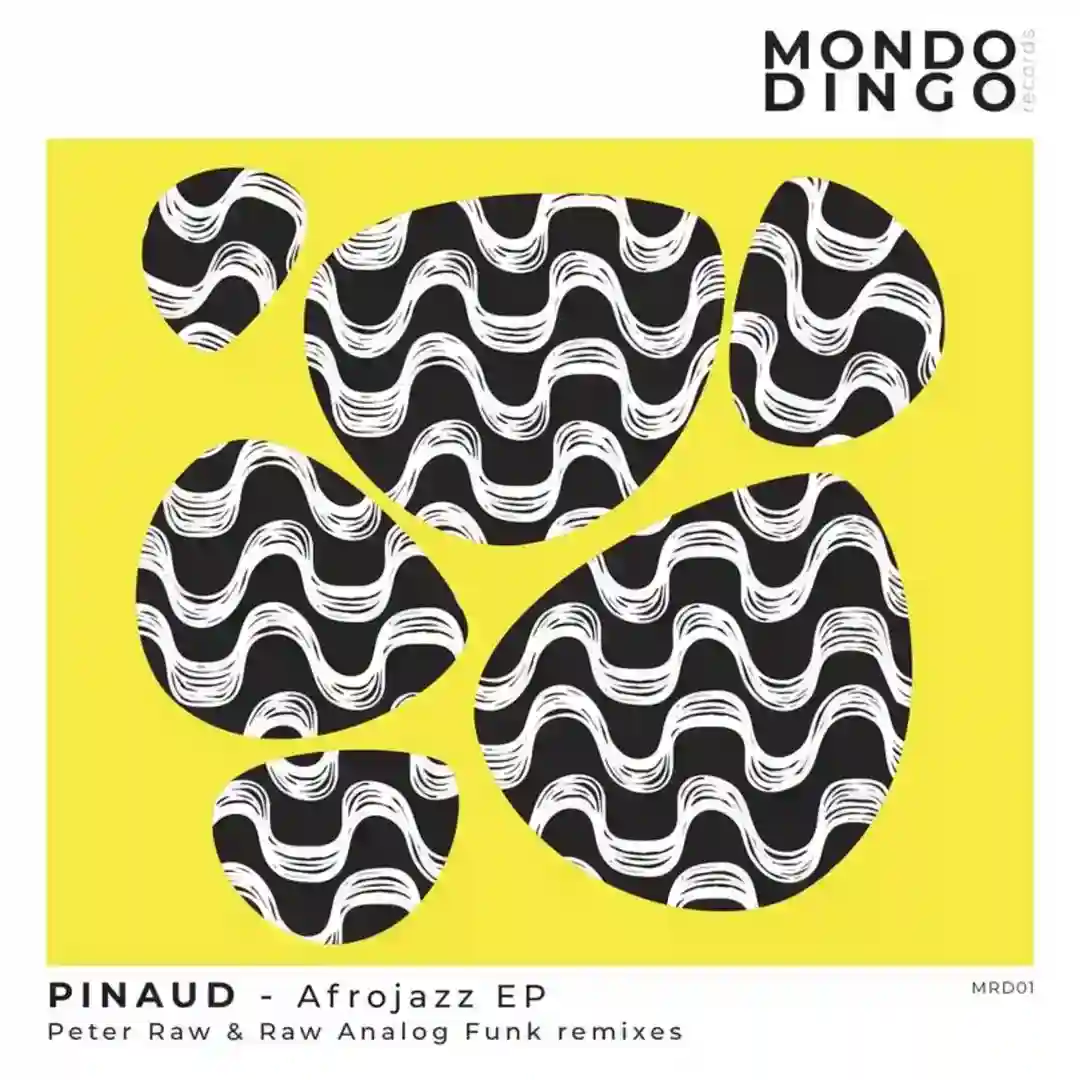 Afrojazz (Raw Analog Funk Remix) cover