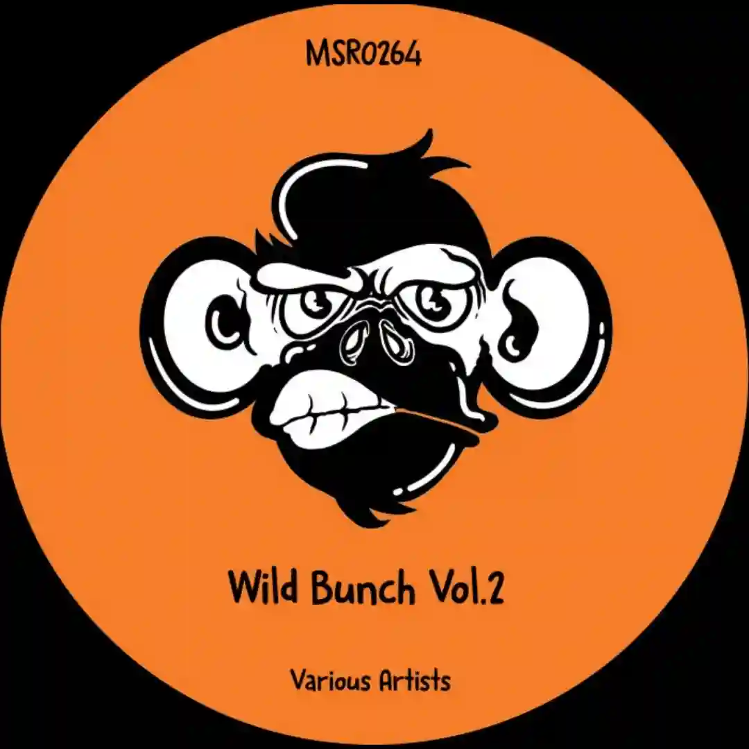 Wanna (Original Mix) cover