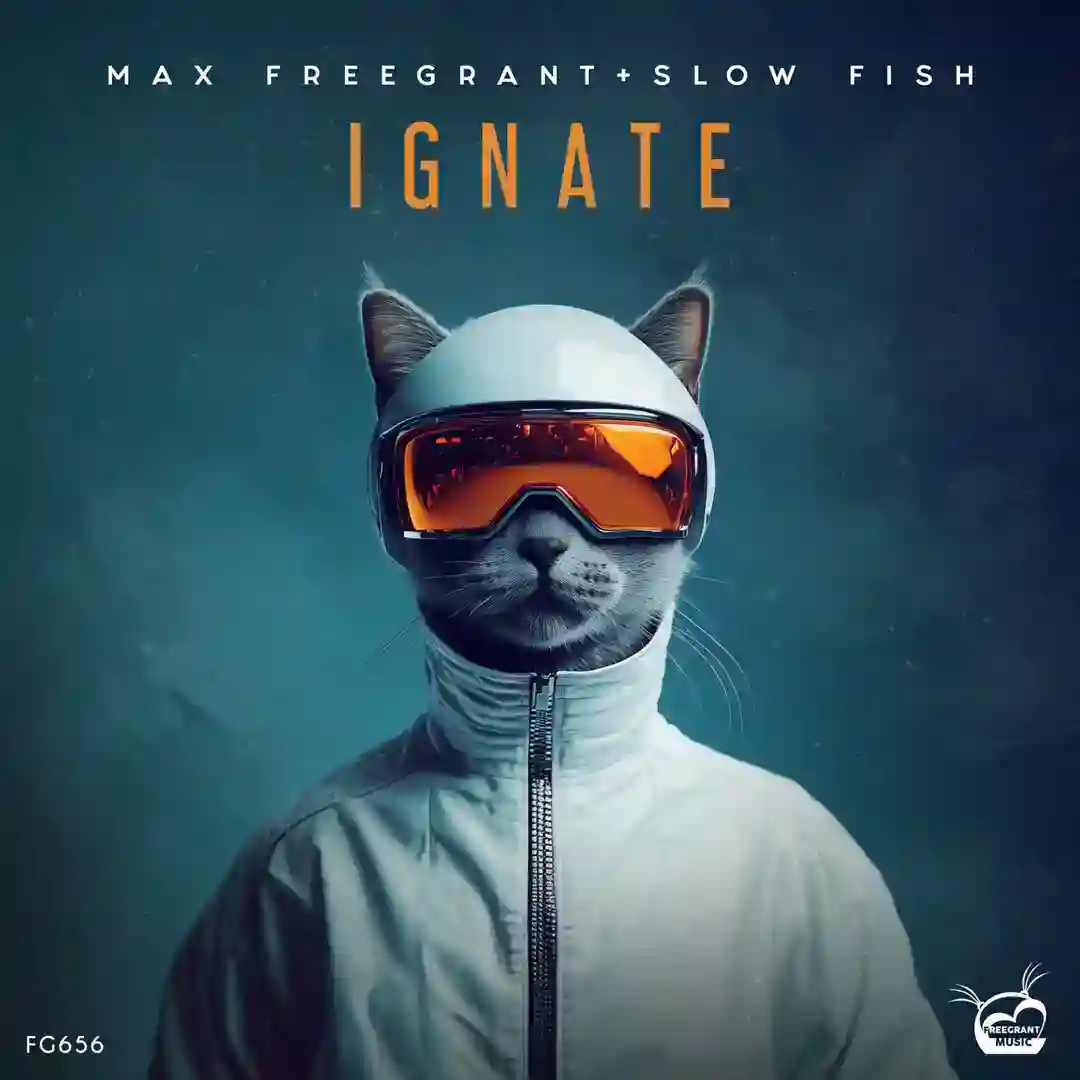 Ignate (Extended Mix) cover