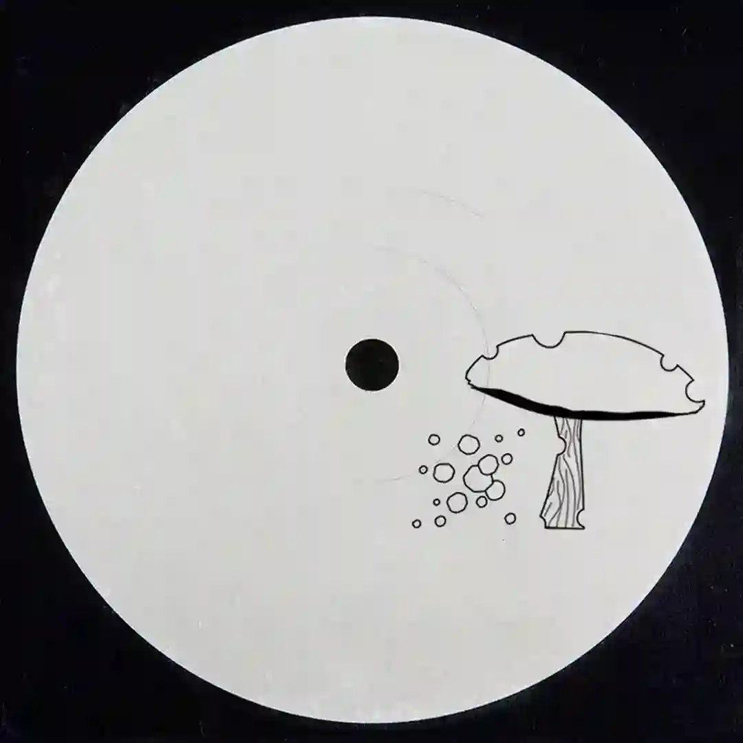 Ayys cover