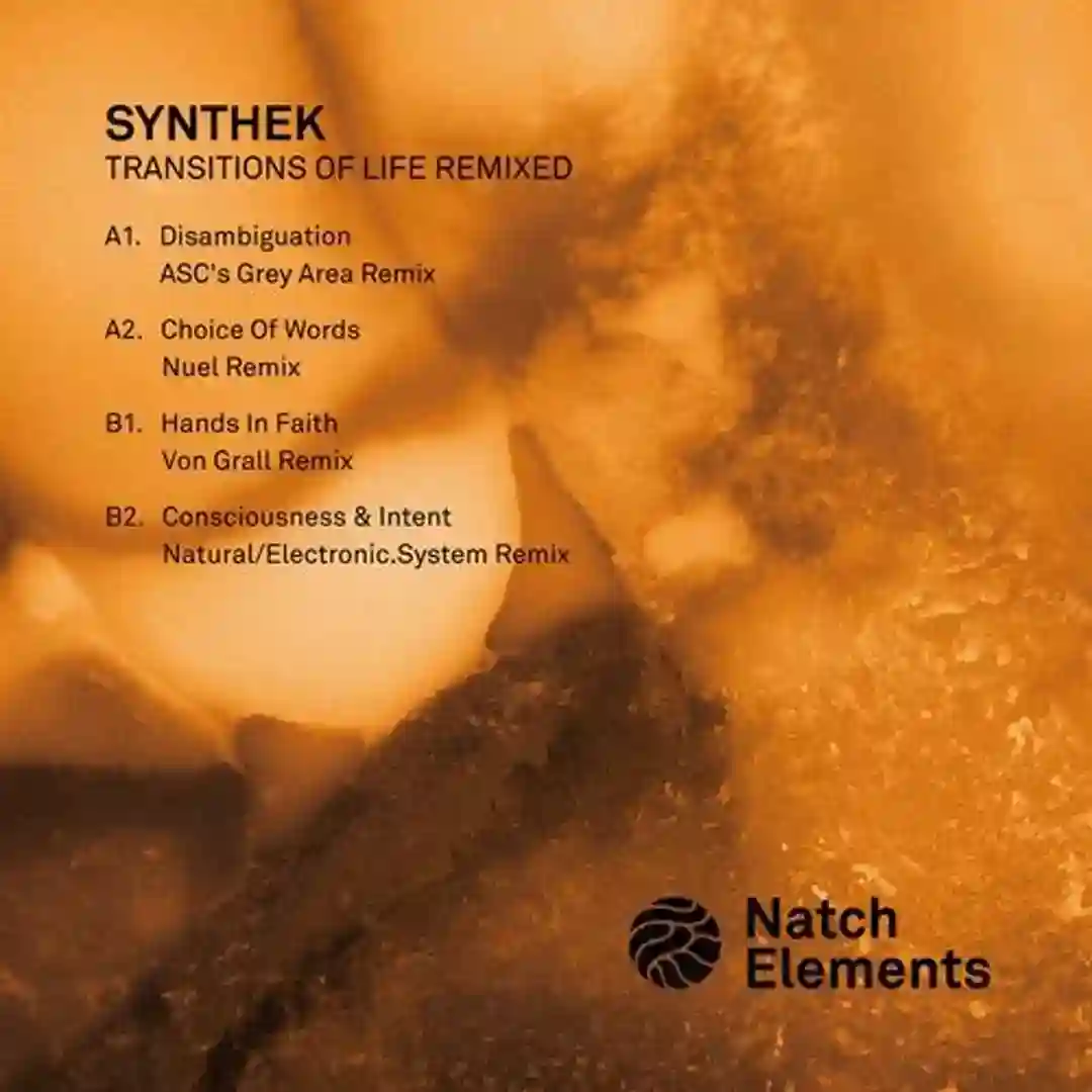 Consciousness & Intent (natural/electronic.system remix) cover