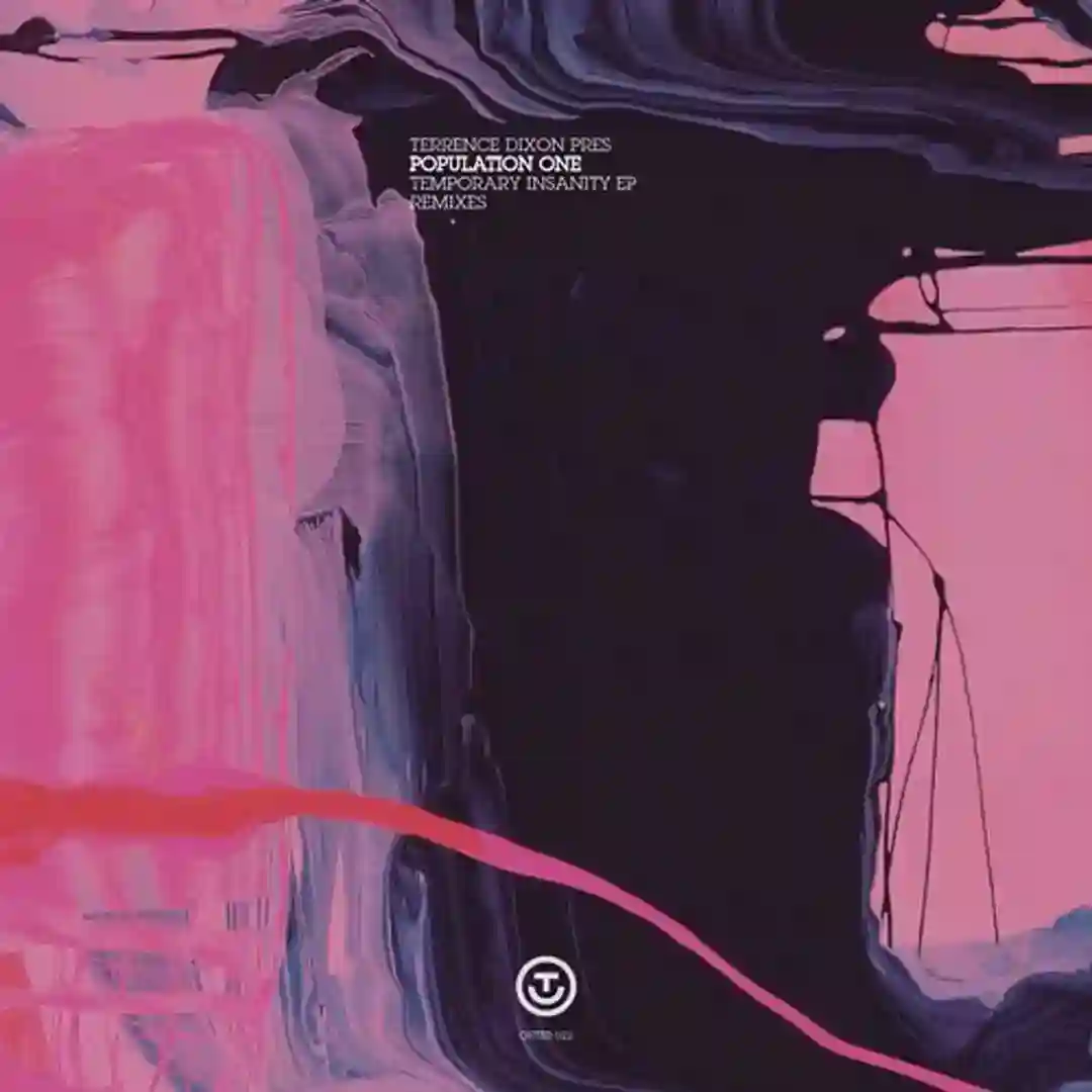 Temporary Insanity (Voiski Remix) cover